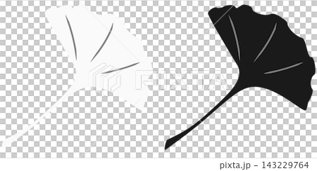 銀杏圖示插畫集 / 秋季/黃色樹葉插畫素材 銀杏圖示插畫集 / 秋季/黃色樹葉插畫素材 143229764