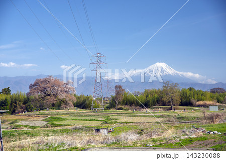 韮崎市わに塚の桜と富士山 韮崎市わに塚の桜と富士山 143230088