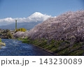 富士市龍巌淵の桜並木 143230089