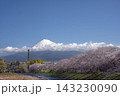 富士市龍巌淵の桜並木 143230090