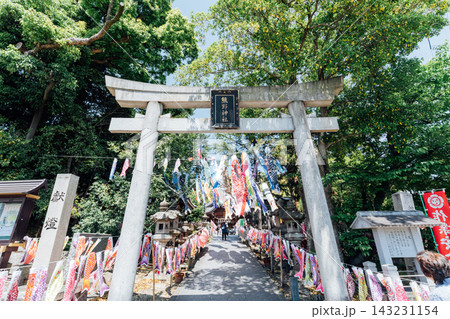 【愛知県東海市】熊野神社のこいのぼりまつりの風景 143231154