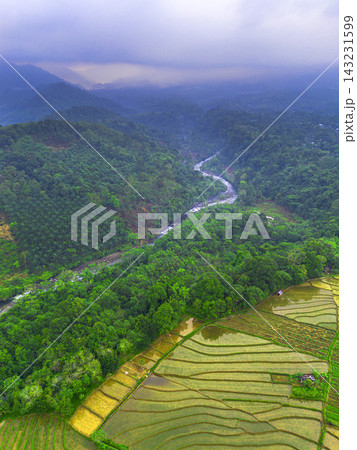 beauty morning light sunrise at paddy fields asia, Beautiful morning view in Indonesia, panoramic landscape of rice fields with mountain ranges and clear sky 143231599