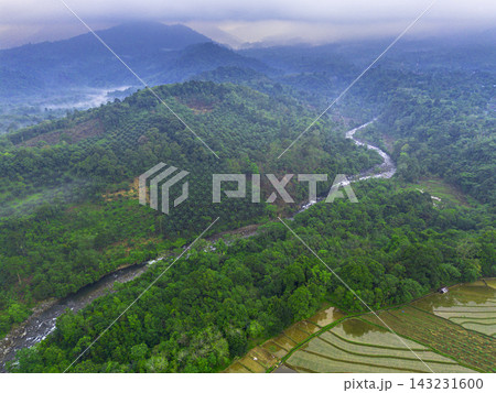 beauty morning light sunrise at paddy fields asia, Beautiful morning view in Indonesia, panoramic landscape of rice fields with mountain ranges and clear sky 143231600