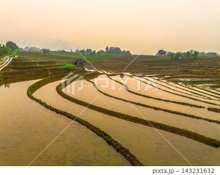 beauty morning light sunrise at paddy fields asia, Beautiful morning view in Indonesia, panoramic landscape of rice fields with mountain ranges and clear sky 143231632