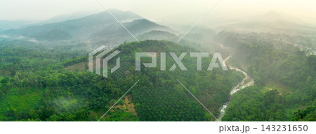 beauty morning light sunrise at paddy fields asia, Beautiful morning view in Indonesia, panoramic landscape of rice fields with mountain ranges and clear sky 143231650