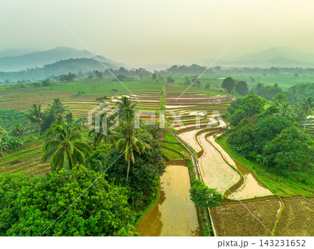 beauty morning light sunrise at paddy fields asia, Beautiful morning view in Indonesia, panoramic landscape of rice fields with mountain ranges and clear sky beauty morning light sunrise at paddy fields asia, Beautiful morning view in Indonesia, panoramic landscape of rice fields with mountain ranges and clear sky 143231652