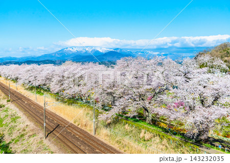 宮城 白石川堤一目千本桜 宮城 白石川堤一目千本桜 143232035