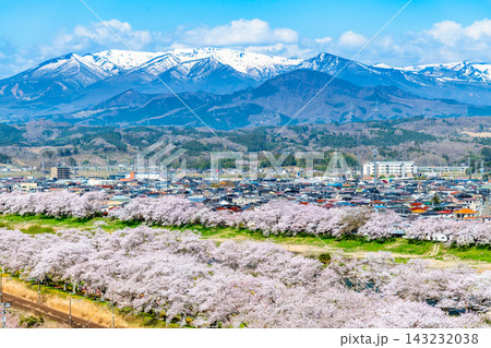 宮城 白石川堤一目千本桜 残雪の蔵王連峰と桜並木 宮城 白石川堤一目千本桜 残雪の蔵王連峰と桜並木 143232038