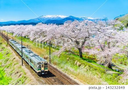 東北本線　満開の白石川堤一目千本桜沿いを走り抜ける列車 143232849