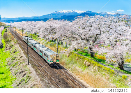 東北本線 満開の白石川堤一目千本桜沿いを走り抜ける列車 東北本線 満開の白石川堤一目千本桜沿いを走り抜ける列車 143232852
