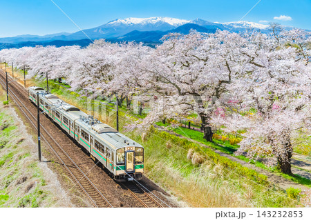 東北本線 満開の白石川堤一目千本桜沿いを走り抜ける列車 東北本線 満開の白石川堤一目千本桜沿いを走り抜ける列車 143232853