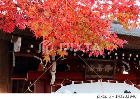 深大寺(調布) 深大寺(調布) 143232946