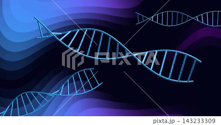 Floating large blue DNA helix amid abstract bio art small helices corded strand indigo purple waves 143233309
