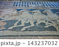 ギリシャ 古代マケドニアの首都ペラの床に小石で描かれたモザイク画 ヘレネーの略奪 ギリシャ 古代マケドニアの首都ペラの床に小石で描かれたモザイク画 ヘレネーの略奪 143237032