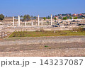 ギリシャ マケドニア 古代マケドニア王国の首都 ペラ遺跡 復元された列柱 ギリシャ マケドニア 古代マケドニア王国の首都 ペラ遺跡 復元された列柱 143237087