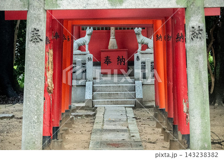 「大阪府」（9月）【観光地】都会の中にひっそりと佇む神社 143238382
