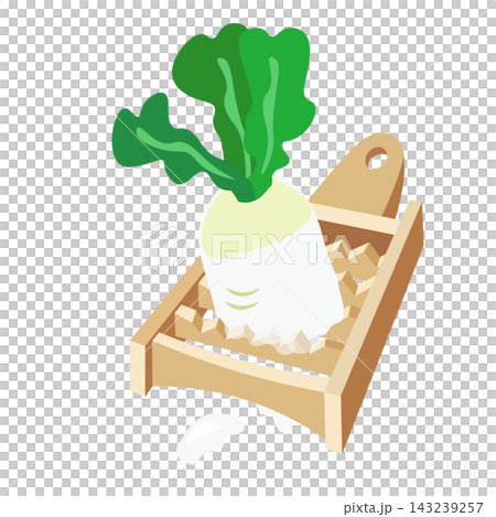 木製の鬼おろしで葉っぱ付きの大根をすりおろすイラスト 143239257