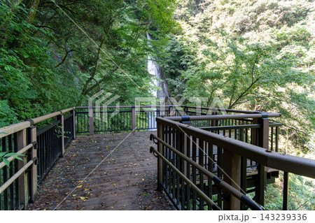 酒水の滝 展望台 観瀑台 神奈川県山北町 酒水の滝 展望台 観瀑台 神奈川県山北町 143239336