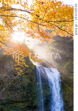 滝と紅葉と光芒（大分県玖珠町慈恩の滝） 143239530