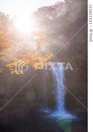 滝と紅葉と光芒(大分県玖珠町慈恩の滝) 滝と紅葉と光芒(大分県玖珠町慈恩の滝) 143239533
