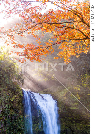 滝と紅葉と光芒(大分県玖珠町慈恩の滝) 滝と紅葉と光芒(大分県玖珠町慈恩の滝) 143239538