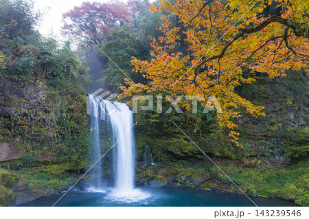 滝と紅葉と光芒（大分県玖珠町慈恩の滝） 143239546