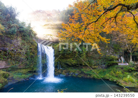 滝と紅葉と光芒（大分県玖珠町慈恩の滝） 143239550