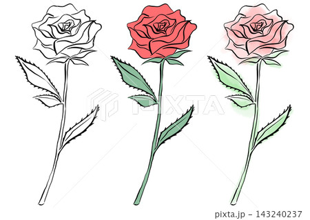 バラ　薔薇　花　フラワー　赤　水彩　シンプル　オシャレ　手書き　イラスト　素材　セット 143240237