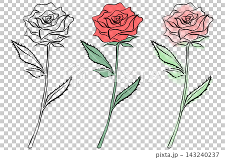 バラ　薔薇　花　フラワー　赤　水彩　シンプル　オシャレ　手書き　イラスト　素材　セット 143240237