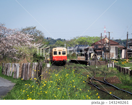 春の小湊鉄道と馬立駅 春の小湊鉄道と馬立駅 143240261