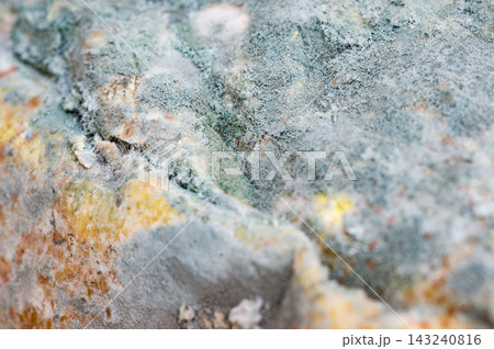 Extreme close-up of thick grey-green mold covering a decaying food surface. 143240816