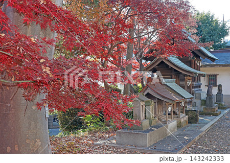 赤塚氷川神社(板橋) 赤塚氷川神社(板橋) 143242333