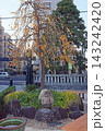 常性寺（調布） 143242420