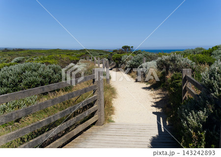 Coastal Walking Path to Bay of Islands Scenic Lookout, Australia Coastal Walking Path to Bay of Islands Scenic Lookout, Australia 143242893