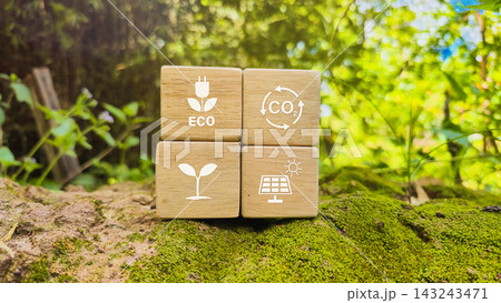 Eco sustainability concept with wooden blocks showing eco energy, CO2 cycle, plant growth, and solar power symbols for environmental presentation and green templates 143243471