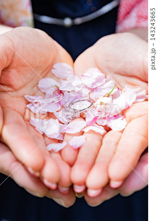 【春のウェディングのイメージ】掌の上に桜の花びらとと婚約指輪　婚約のイメージ 143243665