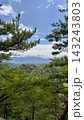 山から見る海 143243803