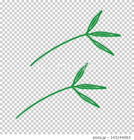 手描きの南天の葉 2本セット カラー 143244063