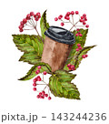 A watercolor illustration of a paper cup with autumn leaves and viburnum berries on a white background. 143244236