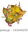 Watercolor autumn bouquet with colorful leaves, viburnum berries tied with rope on a white background 143244259