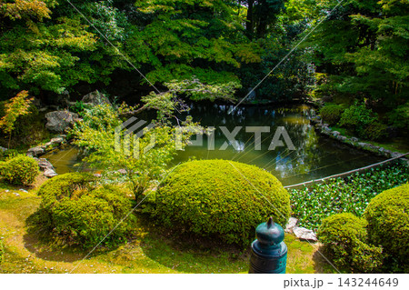 隨心院 小野小町のご利益：美人祈願,恋文上達,縁結び,学芸上達 143244649