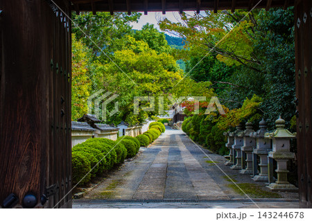 隨心院 小野小町のご利益：美人祈願,恋文上達,縁結び,学芸上達 143244678