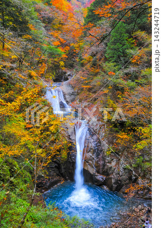 秋の西沢渓谷で美しく進んだ紅葉に囲まれた七ツ釜五段の滝をスローシャッターで捉えた縦構図の渓谷風景 143244719