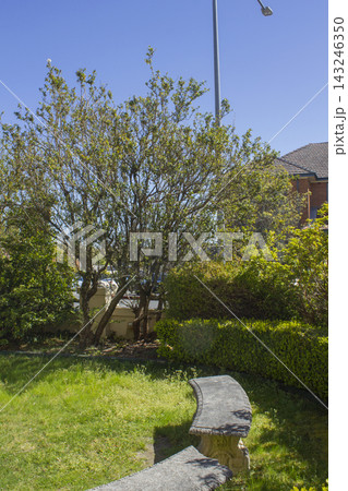 It is a well-tended garden. 143246350
