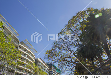 It is a city center in Australia with street trees and buildings. It is a city center in Australia with street trees and buildings. 143246354