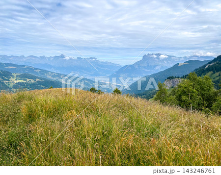Alpine meadow with panoramic mountain view in Les Contamines-Montjoie, France Alpine meadow with panoramic mountain view in Les Contamines-Montjoie, France 143246761