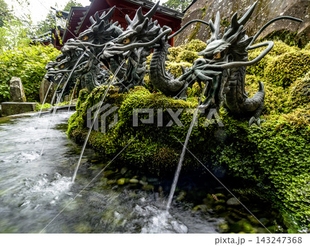 新緑に包まれた、箱根神社神社 143247368