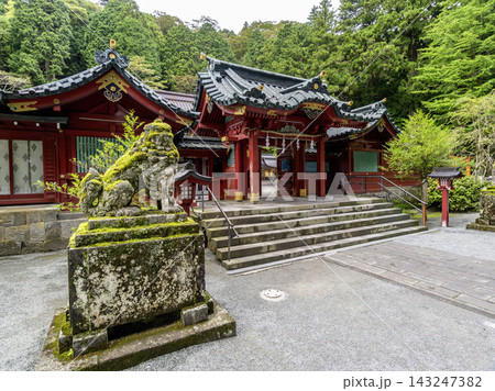 新緑に映える箱根神社 新緑に映える箱根神社 143247382