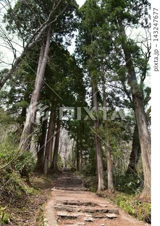 戸隠神社 奥社参道 戸隠神社 奥社参道 143247677