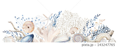 Watercolor coastal border with seashells and sea plants, isolated illustration for beach wedding Watercolor coastal border with seashells and sea plants, isolated illustration for beach wedding 143247765